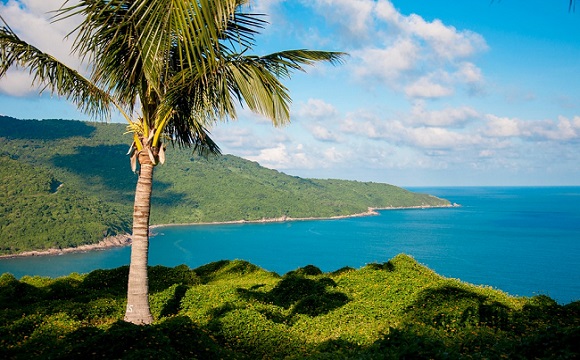 du-lich-sinh-thai-ban-dao-son-tra